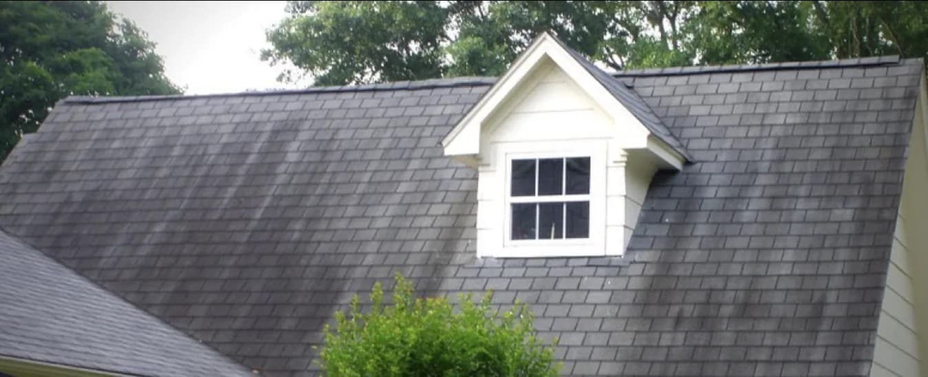Black streaks on a roof on Oahu Hawaii before soft wash roof cleaning