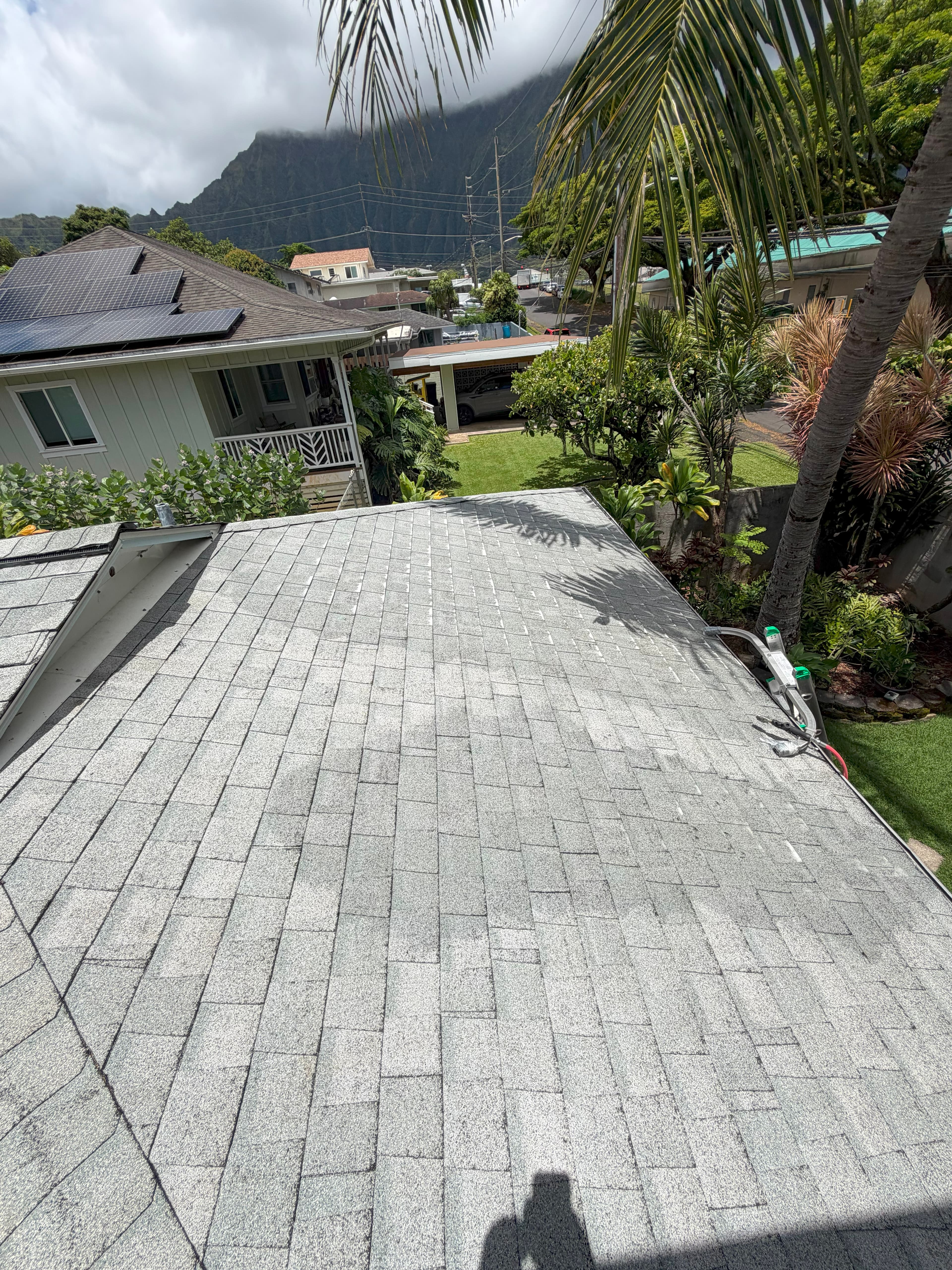 Roof after professional soft washing on Big Island Hawaii