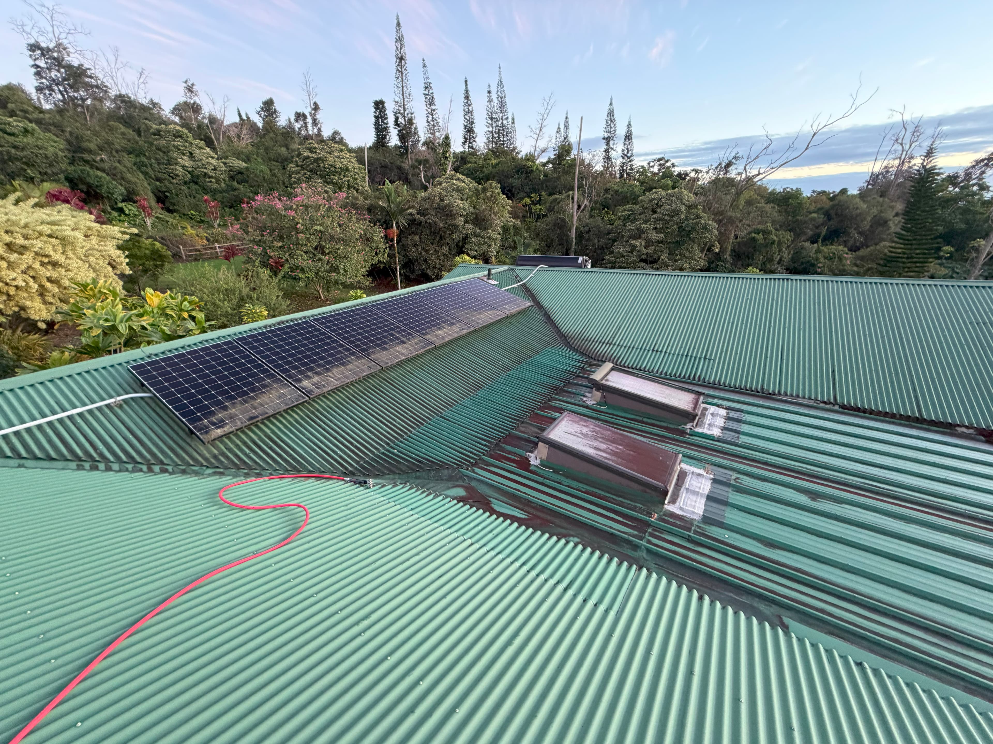 Roof with moss and black streaks before roof cleaning in Oahu Hawaii
